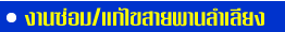 งานซ่อม/แก้ไขสายพานลำเลียง